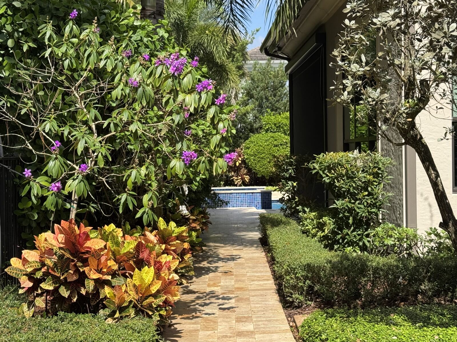 Landscape lighting along garden walkway
